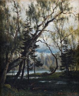 Thorsten Waenerberg - Birches.