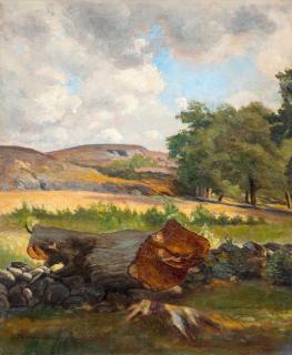 Thorsten Waenerberg - Fallen Tree.
