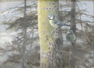 Thure Wallner - Blåmesar