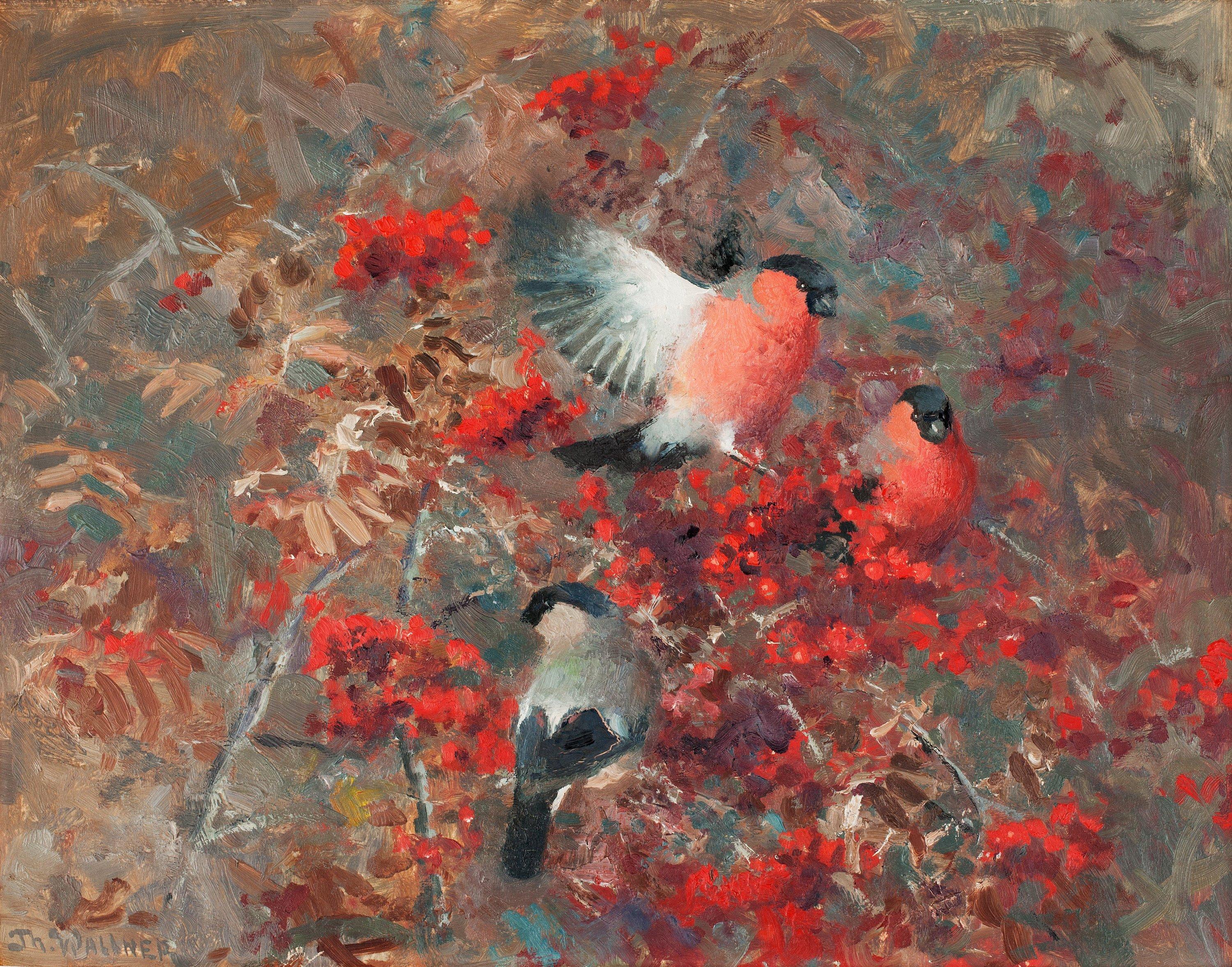 Thure Wallner - Bullfinches in a rowan tree