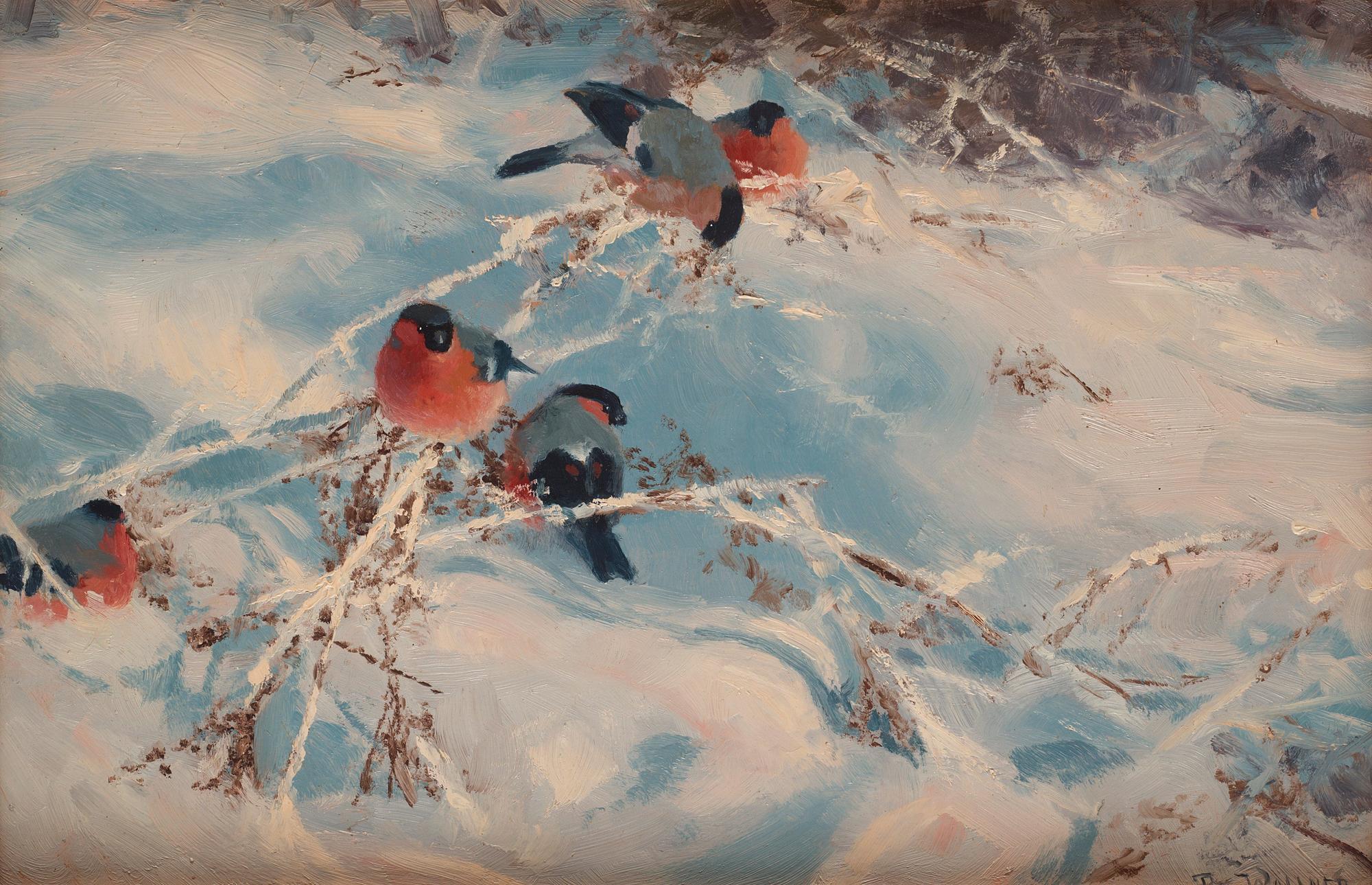 Thure Wallner - Bullfinches in Winter landscape