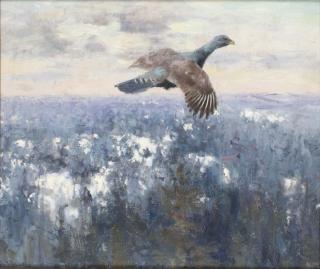 Thure Wallner - Flygande tjäder