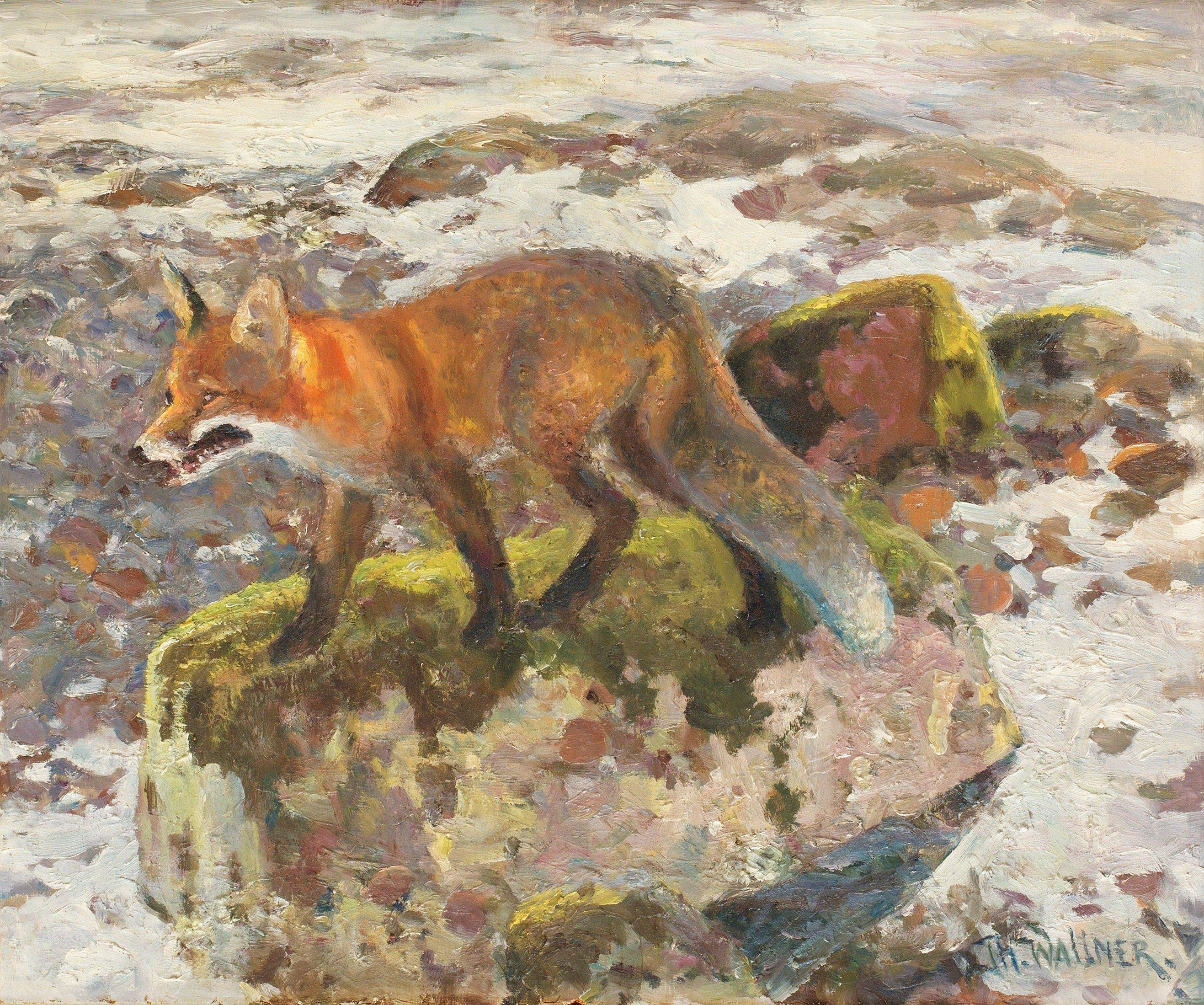 Thure Wallner - Fox