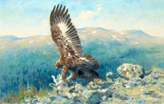 Thure Wallner - Golden Eagle with prey