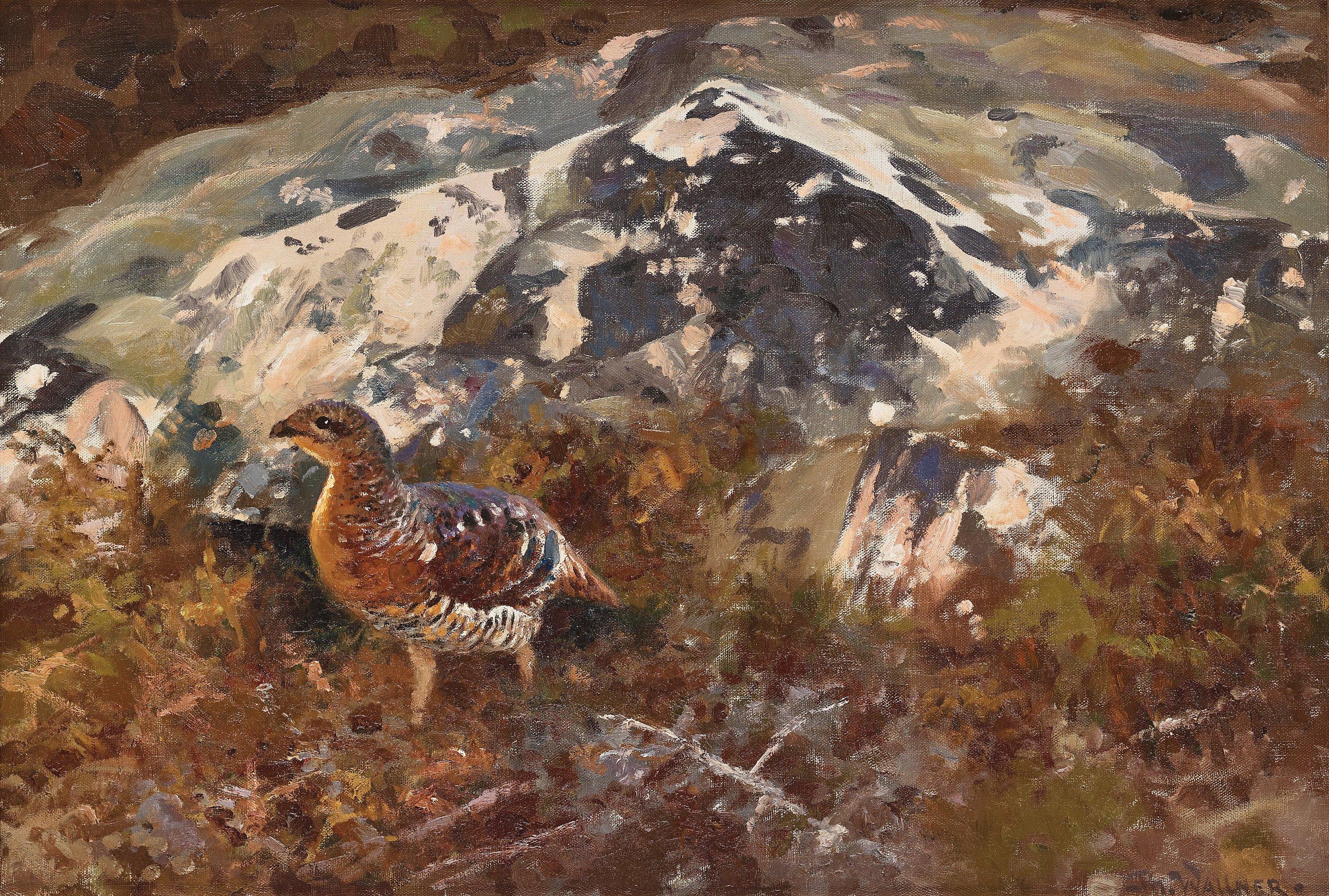 Thure Wallner - Grouse