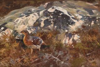 Thure Wallner - Grouse