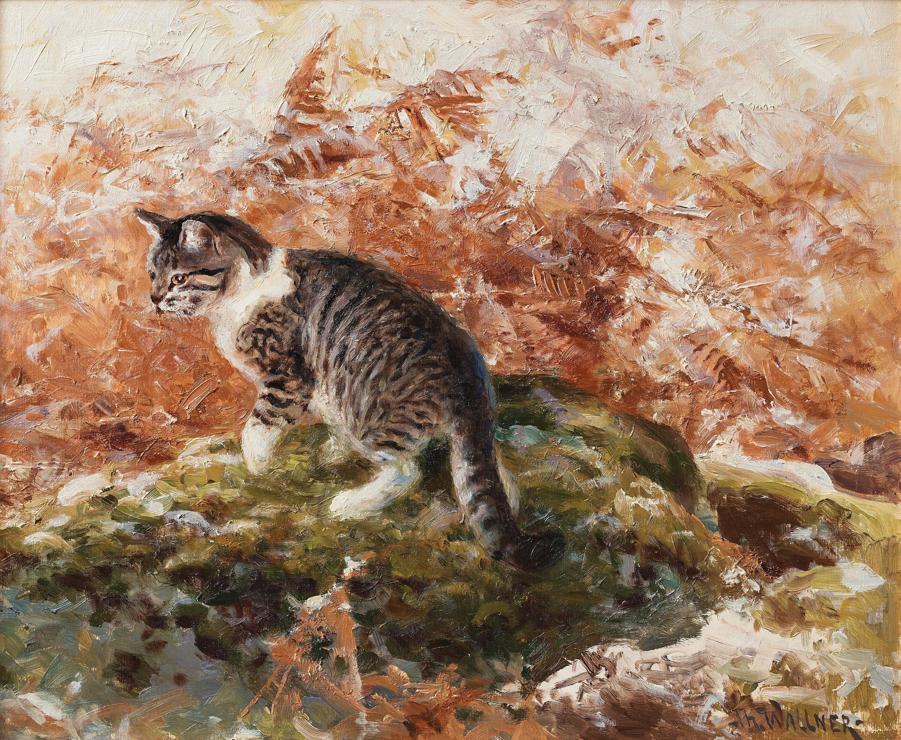 Thure Wallner - Katt