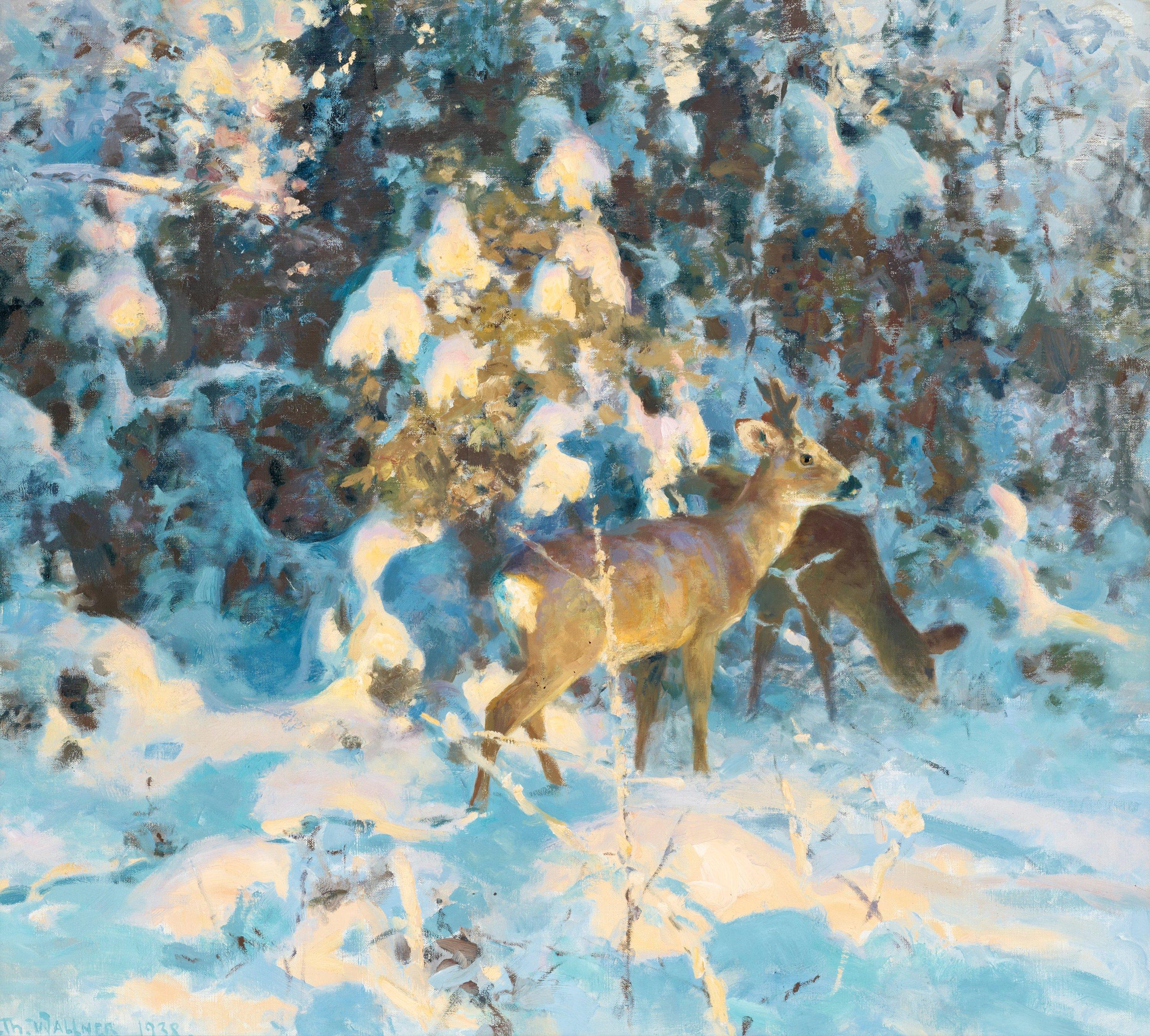 Thure Wallner - Roe deer in snowy forest