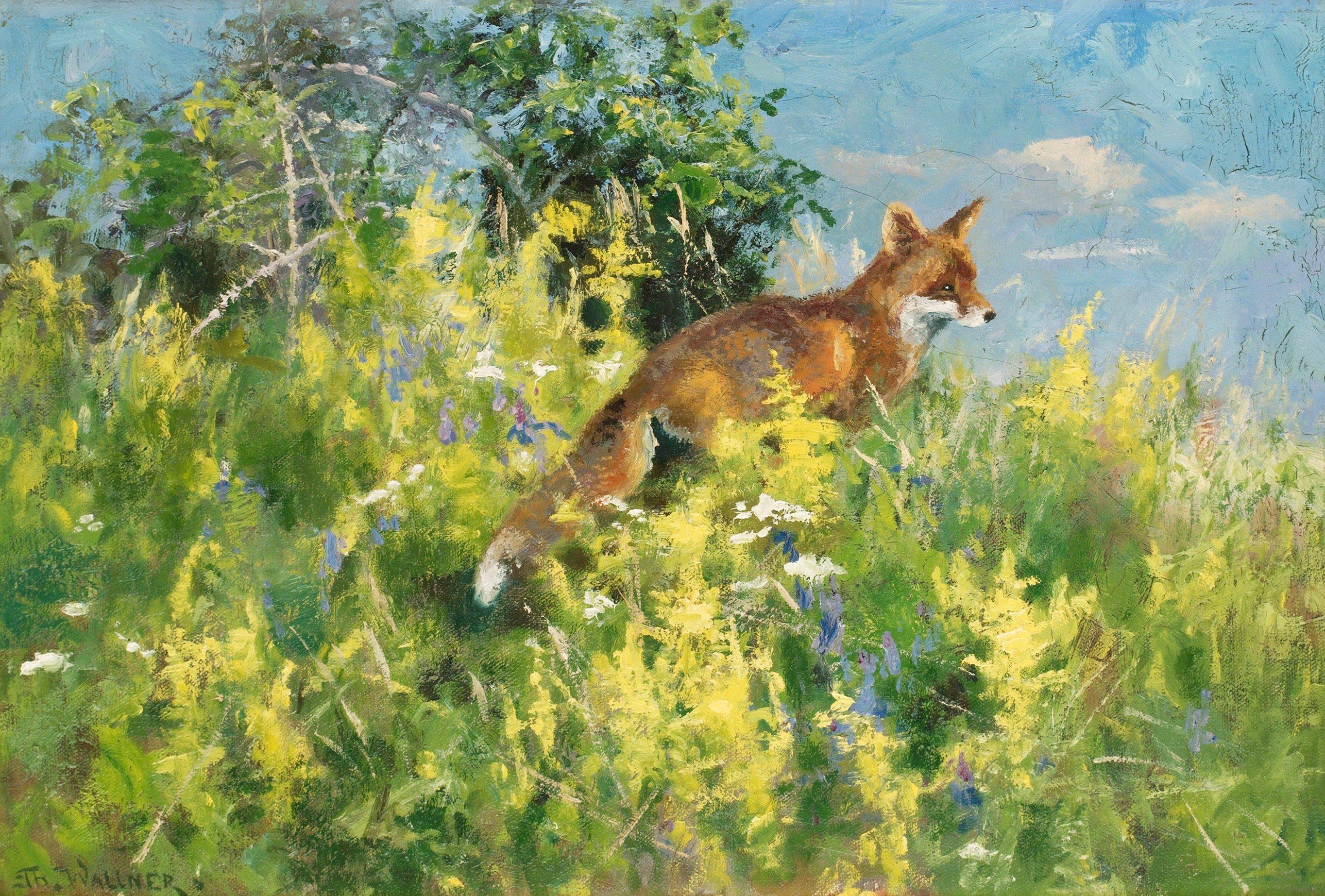 Thure Wallner - Sommarlandskap med räv