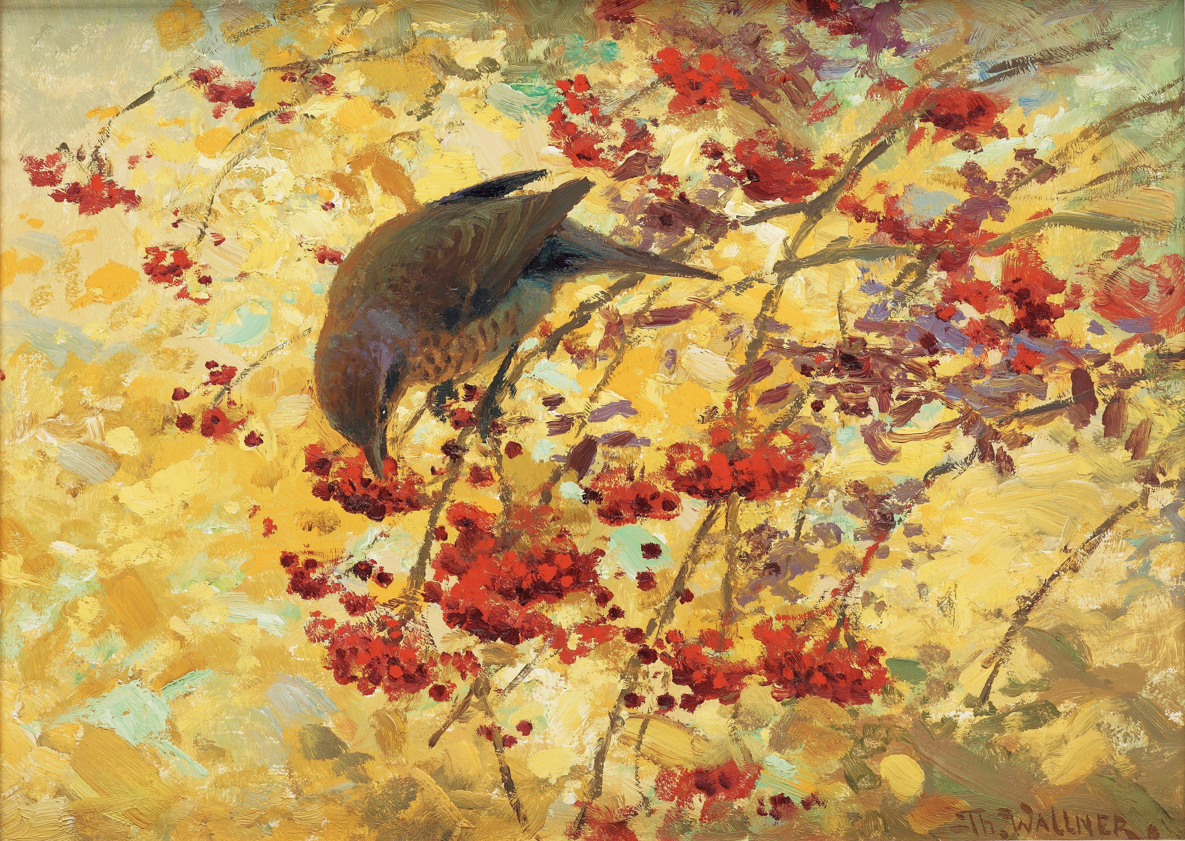 Thure Wallner - Sparrow in rowanberry tree