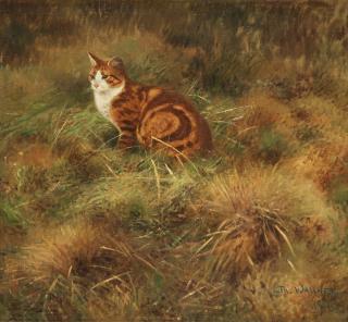 Thure Wallner - Summer landscape with cat