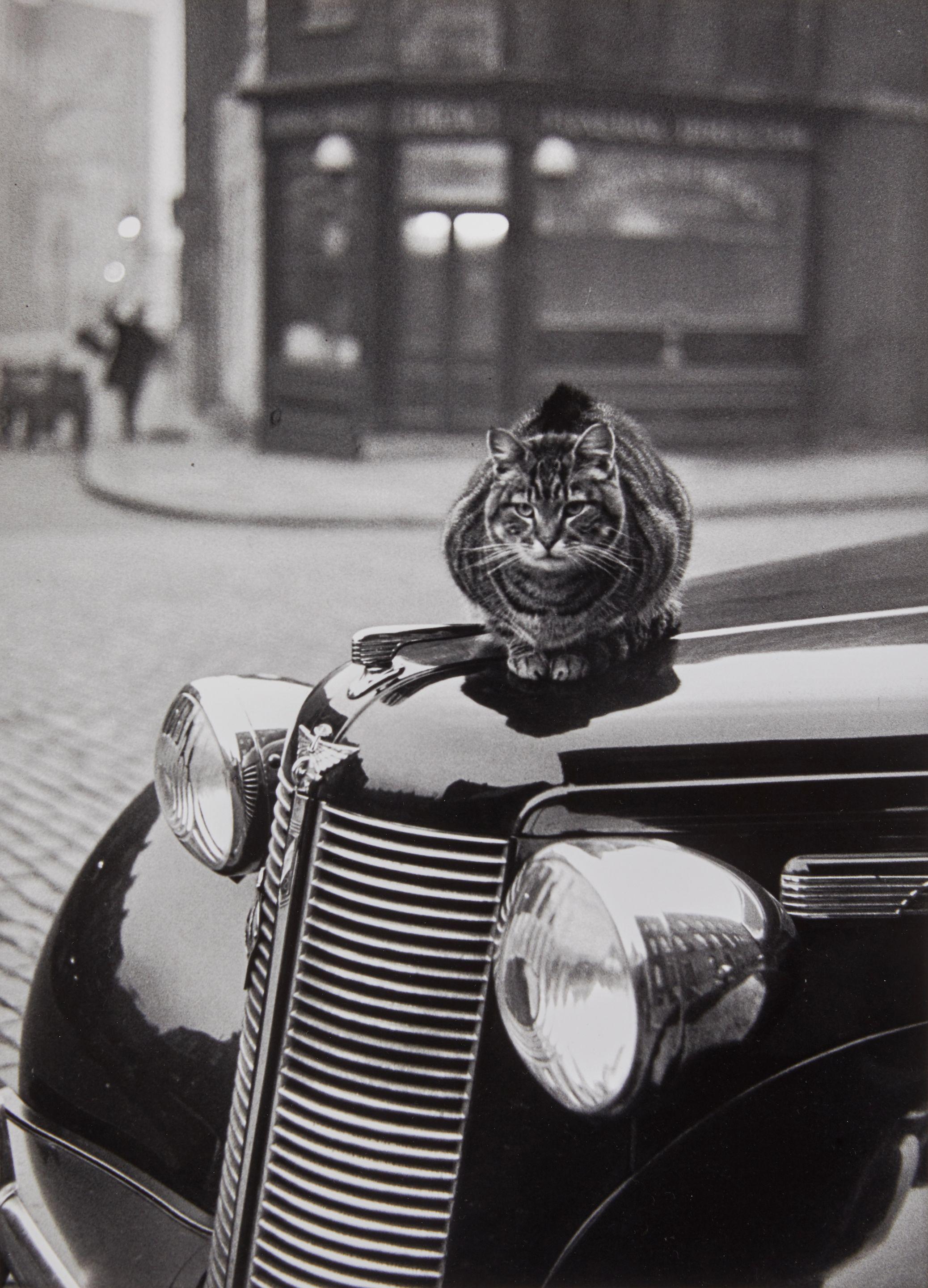 Thurston Hopkins - Keeping Warm, Islington, London