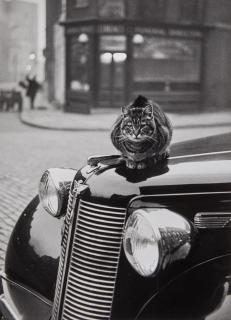 Thurston Hopkins - Keeping Warm, Islington, London