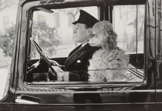 Thurston Hopkins - La Dolce Vita, Knightsbridge, London, 1953