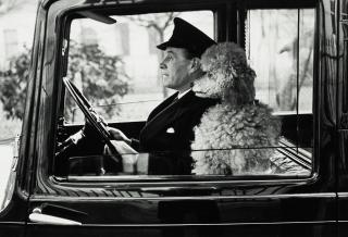 Thurston Hopkins - \'\