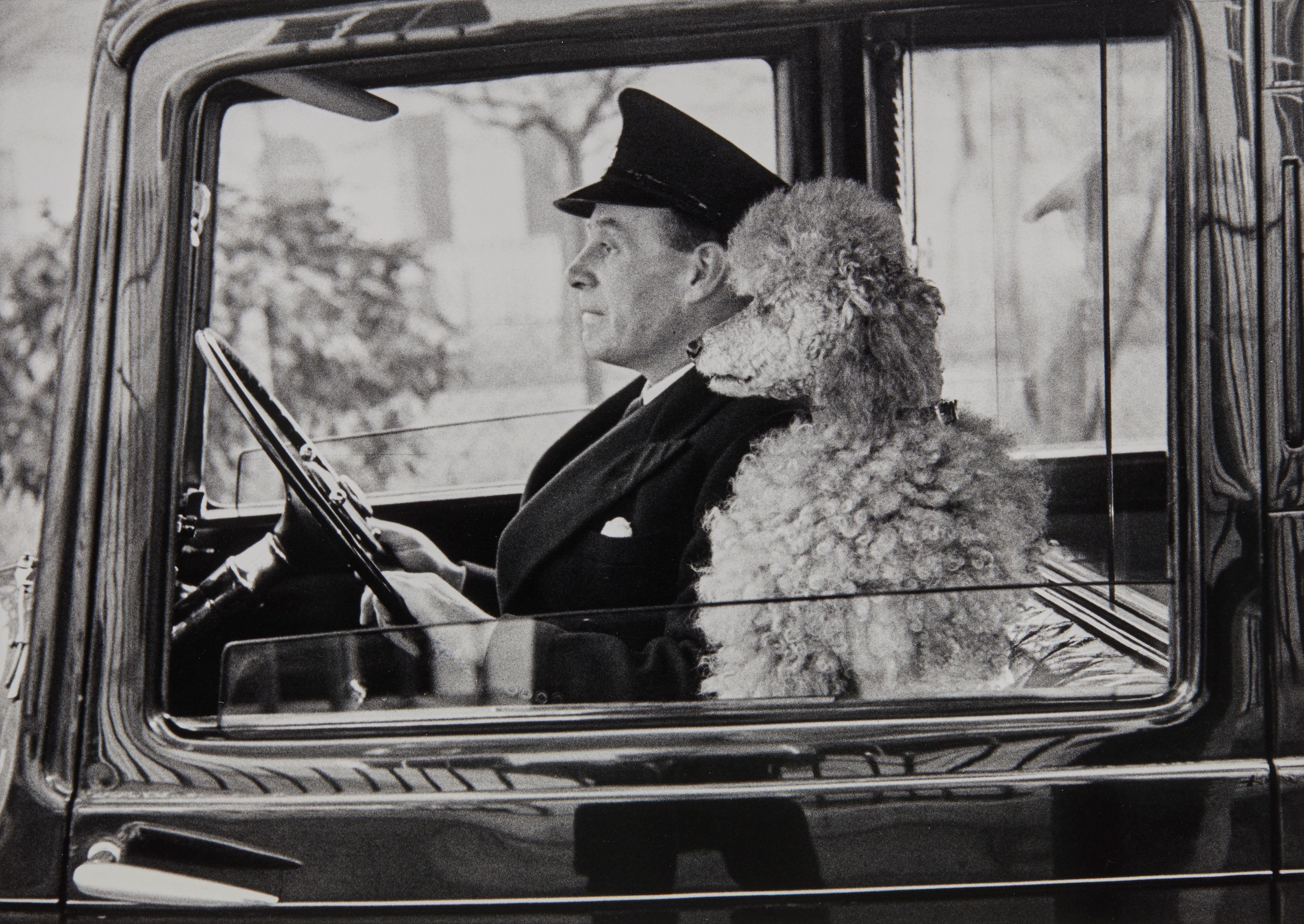 Thurston Hopkins - La Dolce Vita, Knightsbridge, London