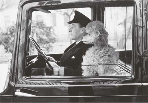 Thurston Hopkins - La Dolce Vita, Knightsbridge, London
