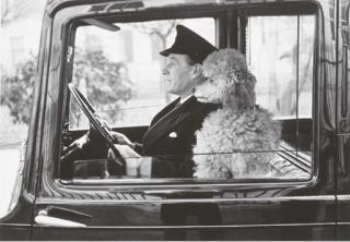 Thurston Hopkins - La Dolce Vita, Knightsbridge, London