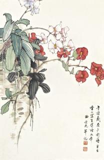 Tian Shiguang - Cattleya