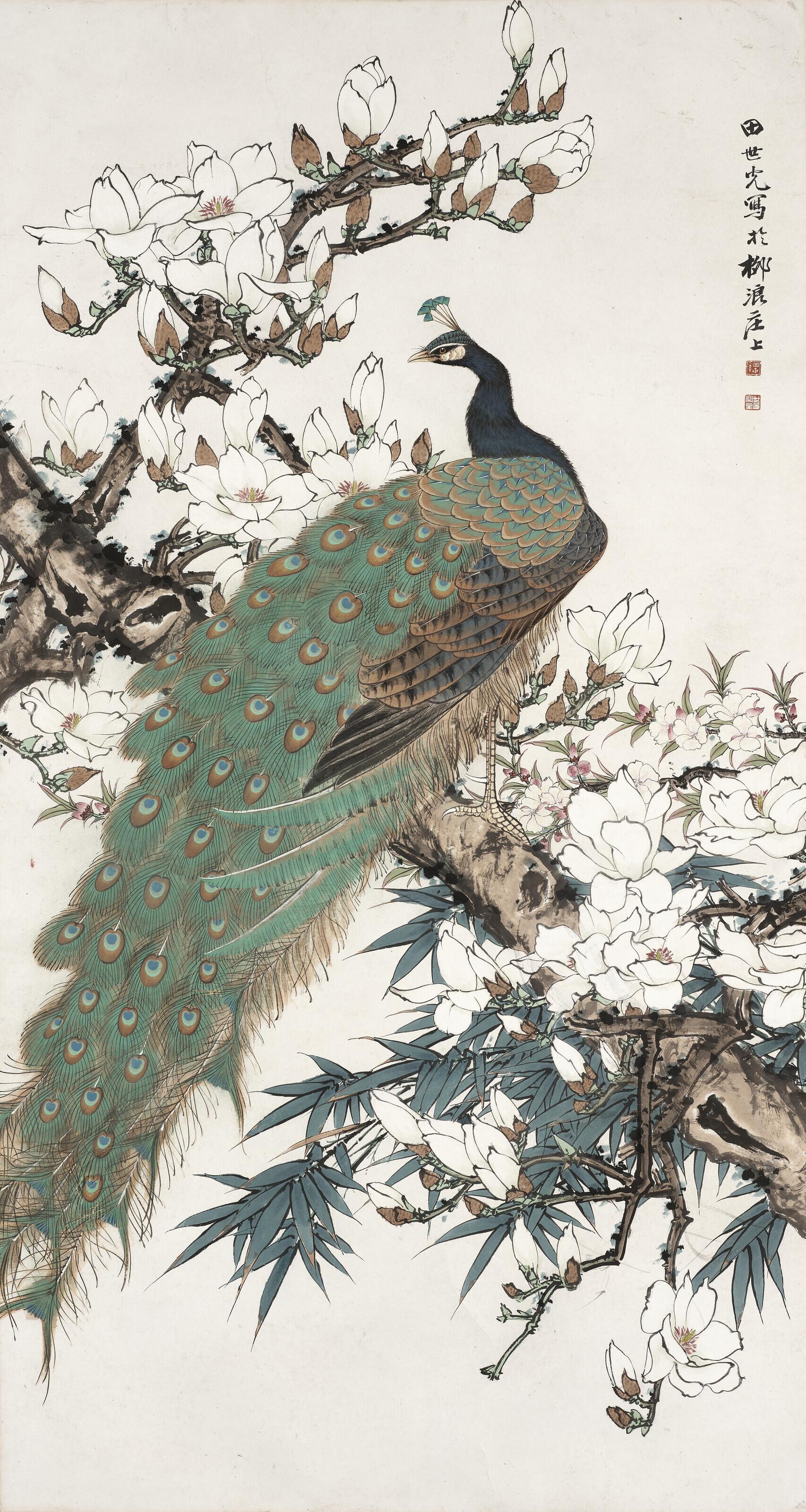 Tian Shiguang - Magnolia and Peacock