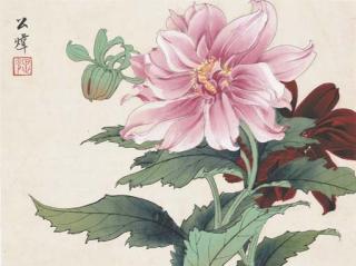 Tian Shiguang - Peony