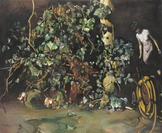 Tibor Csernus - Hungariannude And Plants