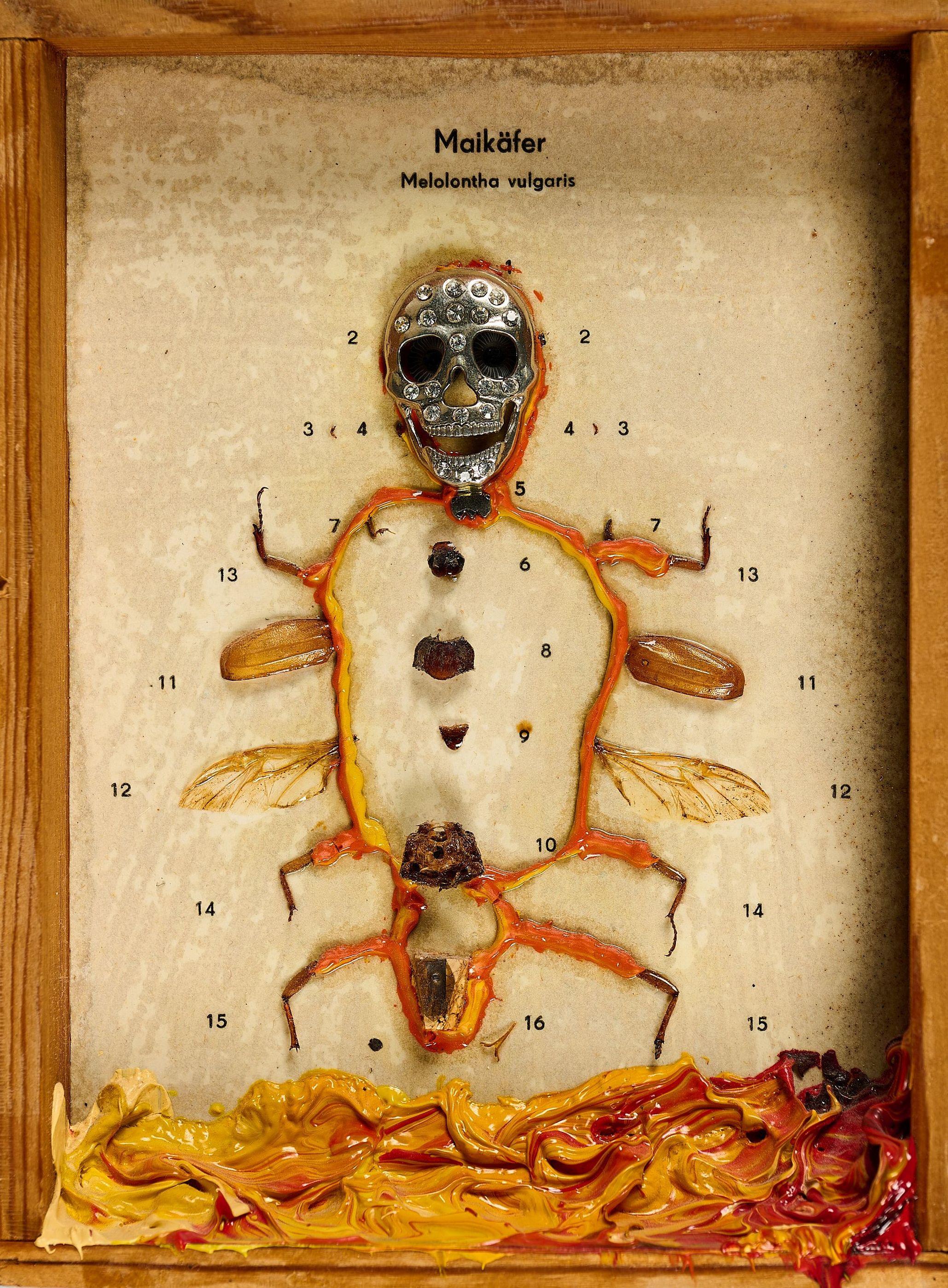 Tim Ernst - Maikäfer.