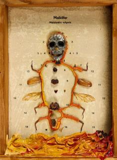 Tim Ernst - Maikäfer.