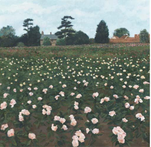 Tim Fargher - Floribunda, Hacheston, Suffolk, 1988