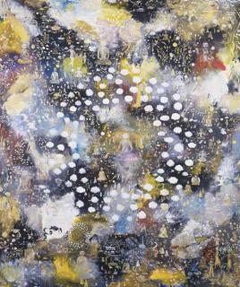 Tim Johnson - Shambala