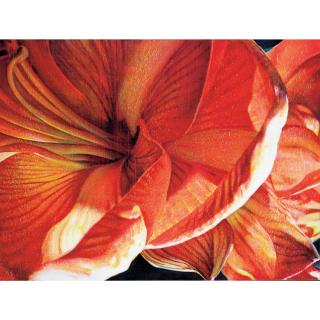 Tim Maguire - Untitled 20051201