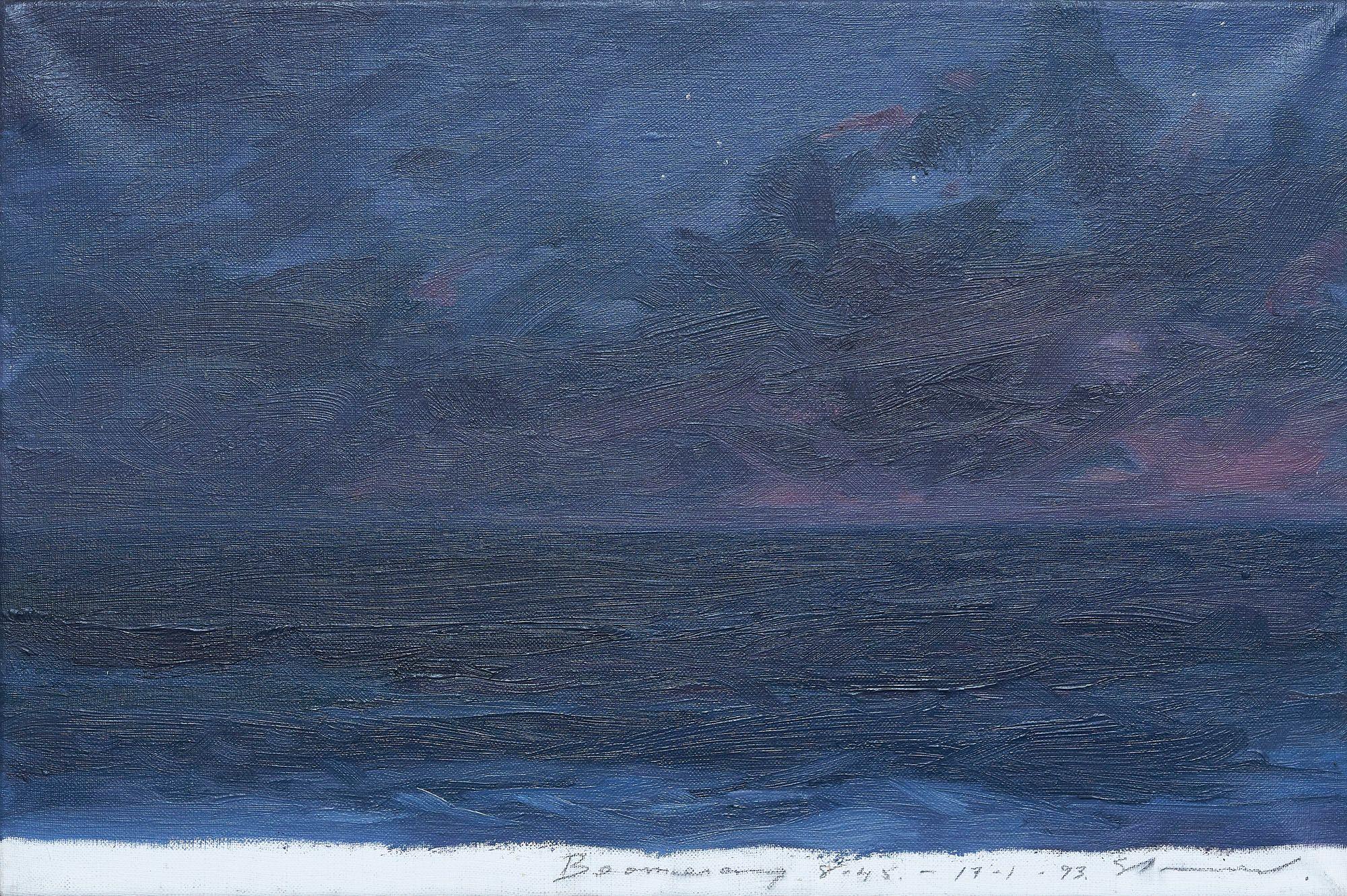 Tim Storrier - Boomerang, 1993