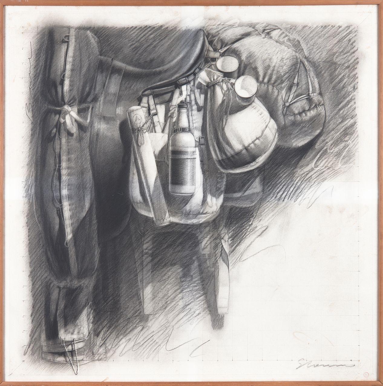 Tim Storrier - Saddlebag, 1985