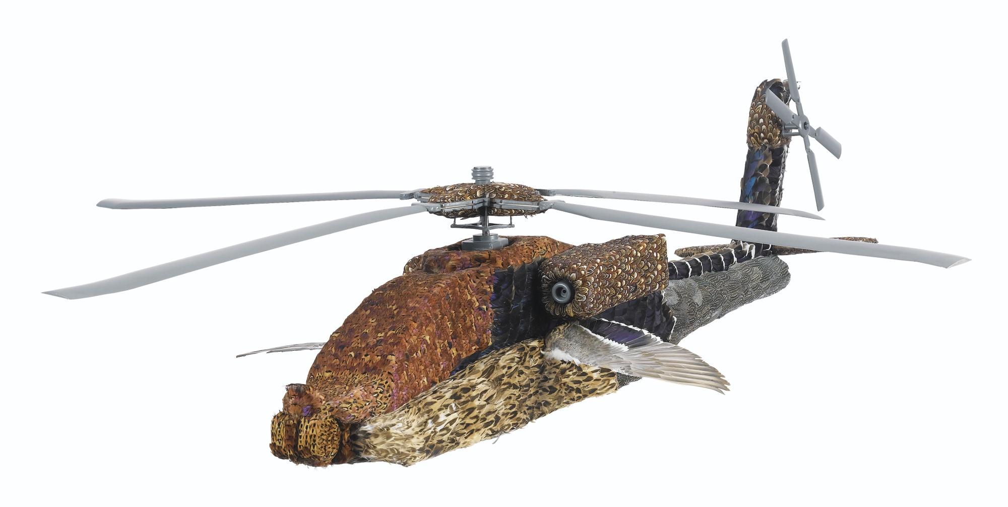 Timo Nasseri - Apache