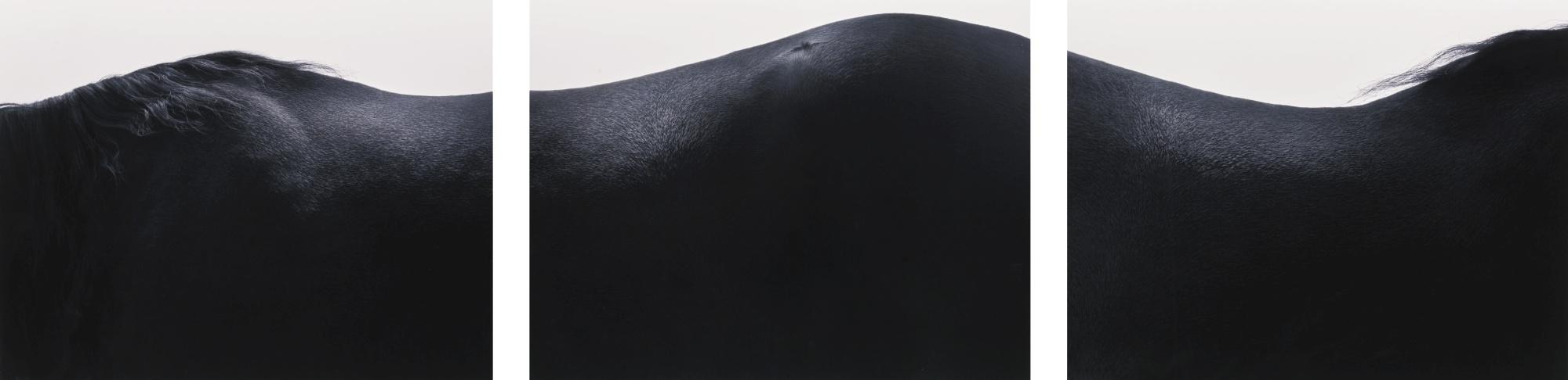 Timothy Flach - From The Equus Series, 2008