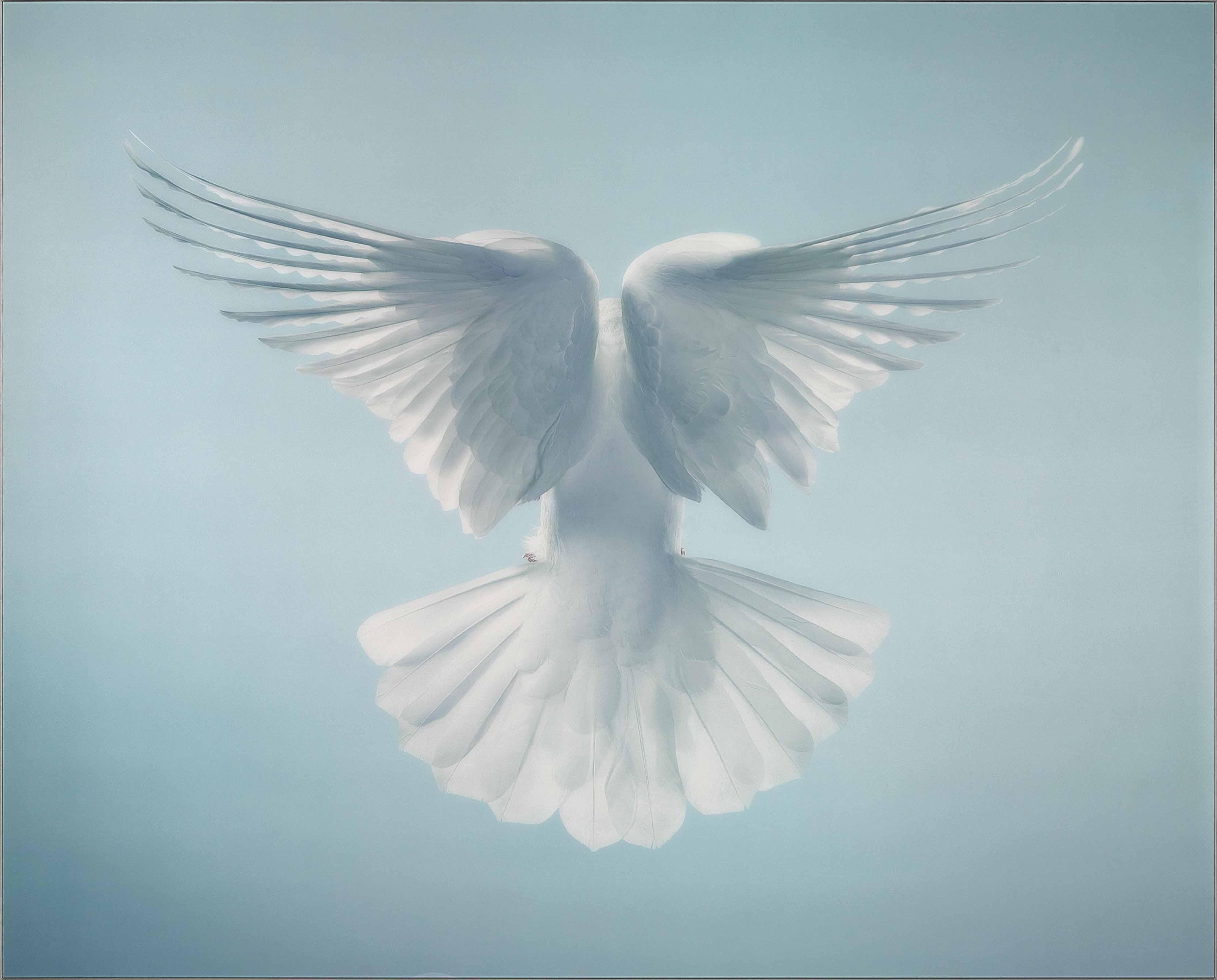 Timothy Flach - Spirit, 2010