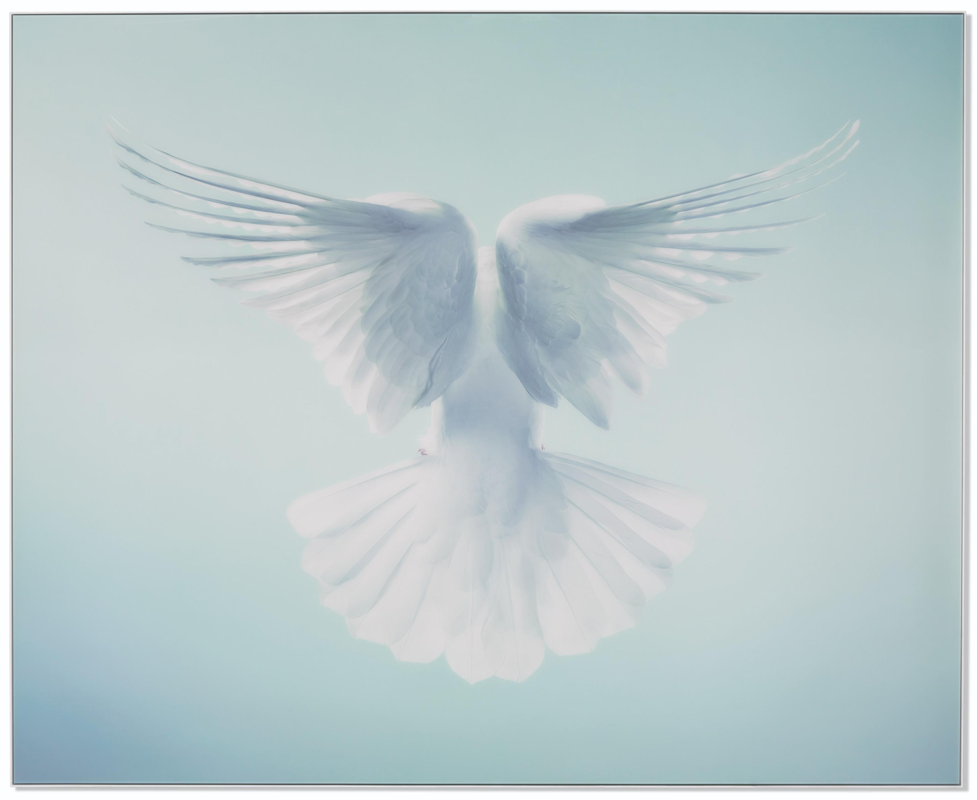 Timothy Flach - Spirit