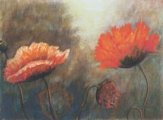 Timothy Maguire - Poppies