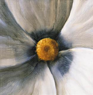 Timothy Maguire - Slit