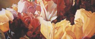 Timothy Maguire - Untitled 20010805