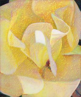 Timothy Maguire - Untitled 20020506