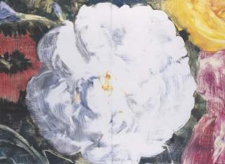 Timothy Maguire - Untitled 9522M