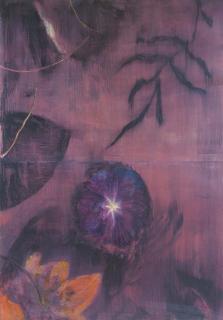 Timothy Maguire - Vita Fuga Iii