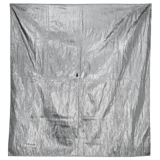 Timur Novikov - Russian Silver Age, 1989