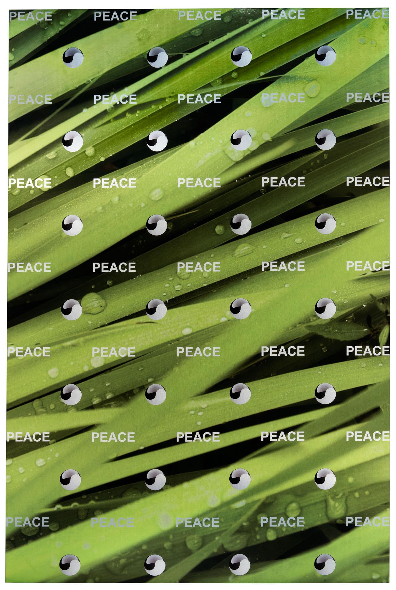 Timur Si - Qin - Untitled (Selection Display)