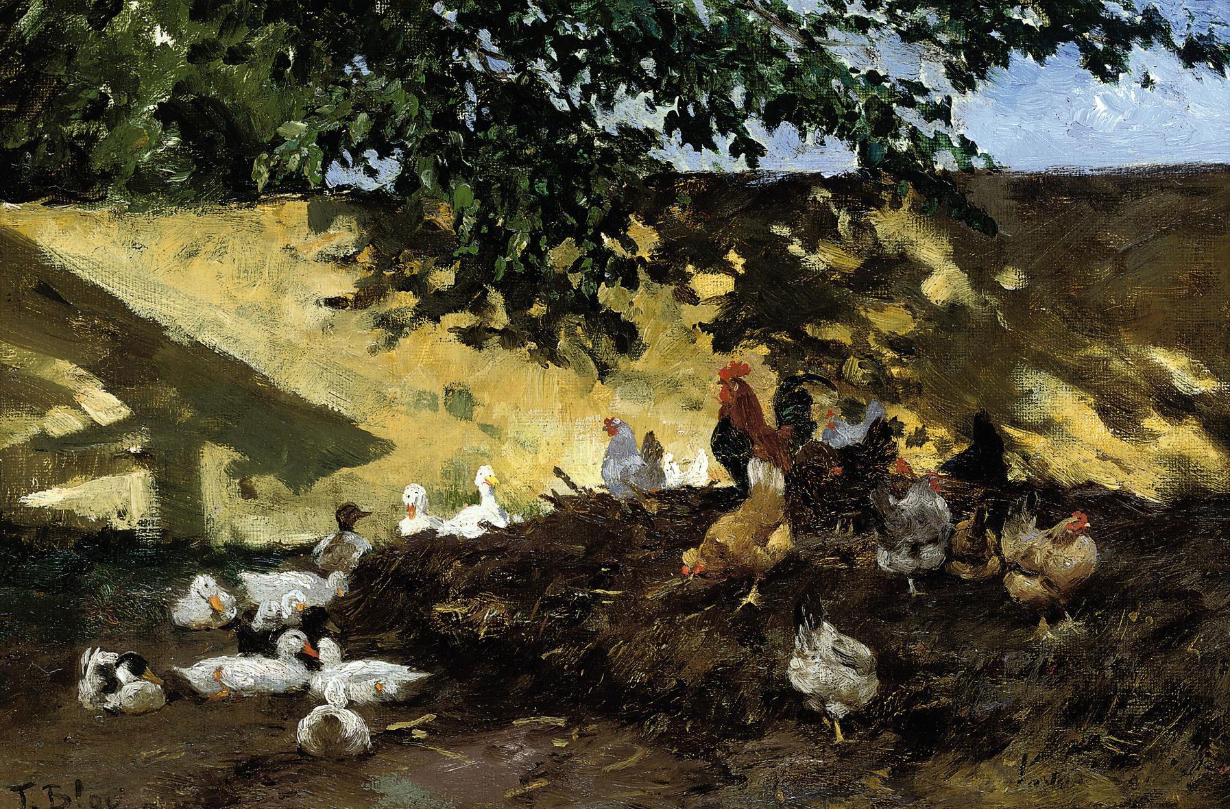 Tina Blau-Lang - Ducks and chickens in a farmyard