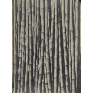 Tina Modotti - Sugar Cane