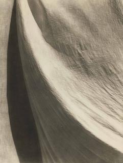Tina Modotti - Untitled (Texture And Shadow), 1924-1926
