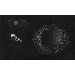 Tinus van Doorn - Bird\'S Nest