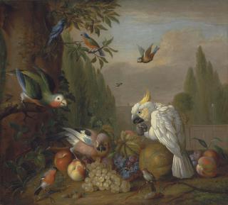 Tobias Stranover - A cockatoo, a parrot, a jay and other birds, with grapes, peaches, plums and a melon, in a park landscape